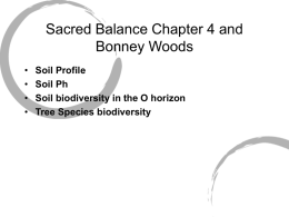 Sacred Balance Chapter 4 and Bonney Woods