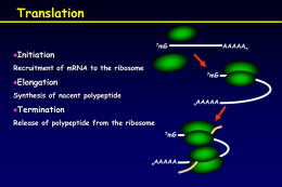 Lecture for Ribosomal P