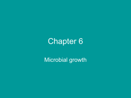 Chapter 6 Microbial Growth
