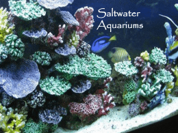 Aquarium Notes - West Branch Schools