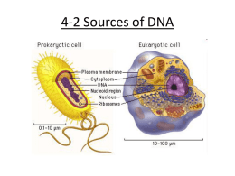 4-2 Sources of DNA
