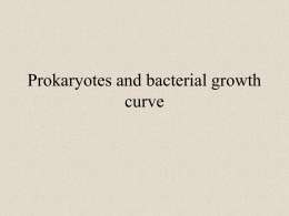 Prokaryotes and bacterial growth curves