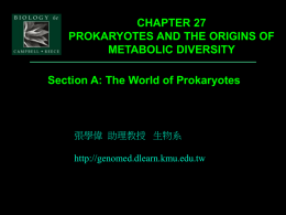 chapter 27 prokaryotes and the origins of metabolic diversity