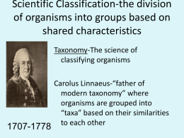 Classification `15