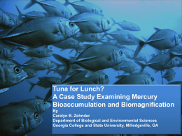 Tuna for Lunch? A Case Study Examining Mercury Bioaccumulation