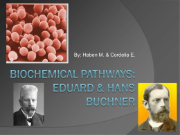 Biochemical Pathways: Eduard & Hans Buchner