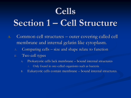 Cells Section 1 – Cell Structure