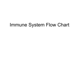 Immune System Flow Chart