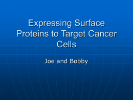 Expressing Surface Proteins to Target Cancer Cells