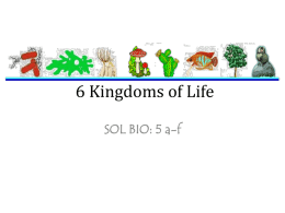 6 Kingdoms Notes