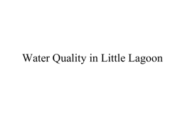 Water Quality in Little Lagoon-By Dr. Hugh MacIntyre, DISL, April 2010