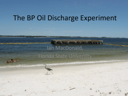 The BP Oil Spill - Bob Graham Center