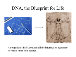 DNA, the Blueprint for Life - Mr-Paullers-wiki