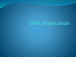 Topic: 3.4 DNA Replication