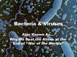 Bacteria & Viruses - St. Mary Catholic Secondary School