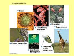 Ecology: the study of interrelationships between organisms and their
