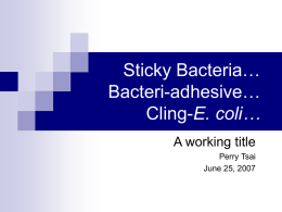 Sticky Bacteria… Bacteri-adhesive… Cling-E. coli…