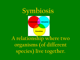 Symbiosis - Plain Local Schools