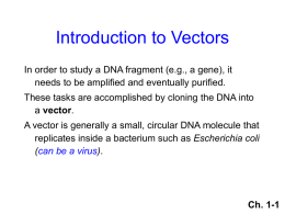 Introduction to Vectors - Pascack Valley Regional School District