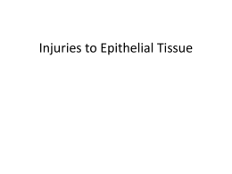 Injuries to Epithelial Tissue