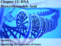 Chapter 12: DNA & RNA