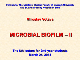 06_Microb_biofilm_II_2014 - IS MU
