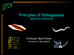 Principles of Pathogenesis Bacterial Infection