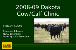 2008-09 Cow Calf Clinic