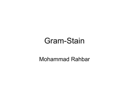 Gram-Stain