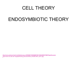 Cell theory/Endosymbiotic theory