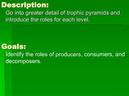 Trophic Pyramid and Vocabulary