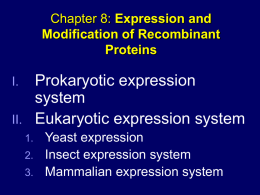 8 Expression and Modification of Recombinant Proteins