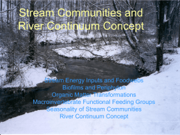 Stream Communities and The Continuum Theory