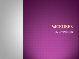 Microbes - msetclass