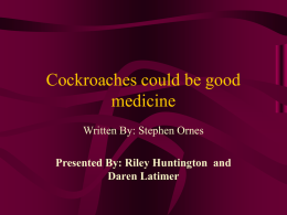 Cockroaches could be good medicine - ms-hagen-holt-period3-4