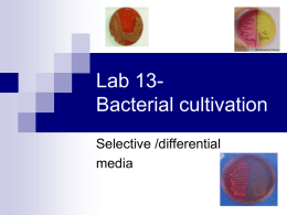 Bacterial cultivation