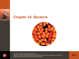 Bacteria - McGraw Hill Higher Education