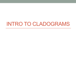 Cladogram ppt Intro to cladograms