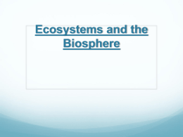 2.3 Ecology notes