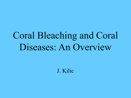 Coral Bleaching and Coral Diseases