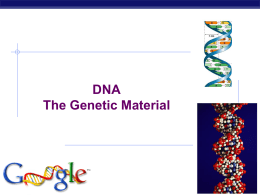 AP BIO Unit 6 - DNA History