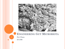 Engineering Gut Microbiota