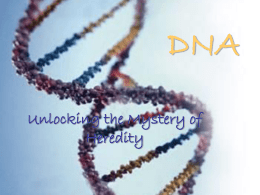 DNA_and_Replication