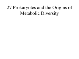 27 Prokaryotes and the Origins of Metabolic Diversity