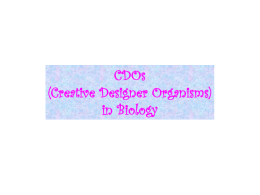 CDOs (Creative Designer Organisms)