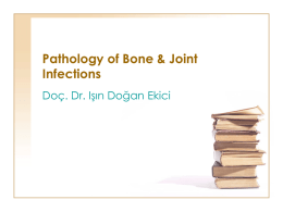 Bone & Joint Infections