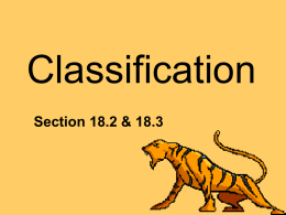 Classification2 - holyoke