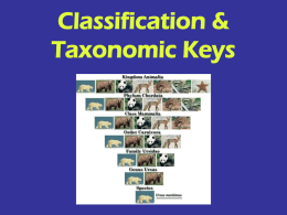 to view the Classification & Taxonomy slides