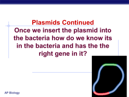 finding the gene to go into the plasmid