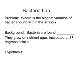 Bacteria Lab - Aurora Public Schools